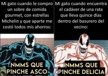 mi gato y la comida.jpg