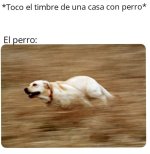 el perro.jpeg