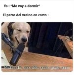 El perro del vecino meme.jpg