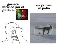 Gatomeme v3.jpg