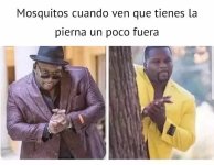 Mosquitos meme.jpg