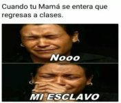 nooo mi esclavo.jpg