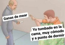 suele pasar prros.jpeg