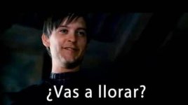 vas a llorar.jpg
