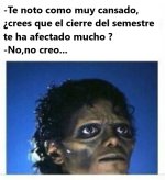 cierre de semestre prros .jpg