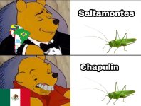 Saltamonetes y Chapulin.jpg