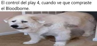 El control de la play 4 cuando ve que compraste BloodBorne.jpg