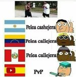 pelea callejera.jpg