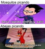 Mosquito vs Abeja.jpg