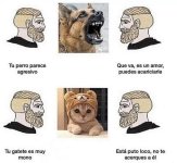 perros y gatos.jpg