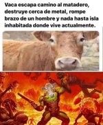 vaca meme.jpg