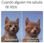 Adios ,solo dios sabra quien era.jpg