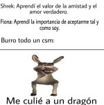 Burro todo un csm.jpg