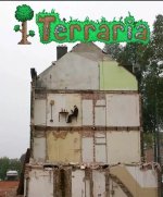 Terraria meme v2.jpg