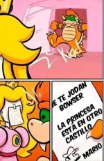 la princesa esta en otro castillo.jpg