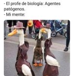 Agentes patogenos y mi mente.jpg