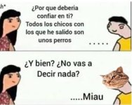Miau v2.jpg