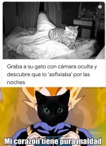 pura maldad.jpeg