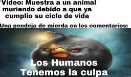 los humanos tenemos la culpa.jpeg
