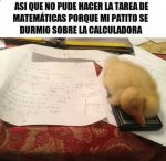 44fb6e23b4b26d7b1758bb6bf6a03f86.jpg