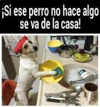 7f29c190b8affdd1f5a54a65bc3f8e3f.jpg