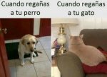 670f05f281dbdbeb100301ae5ddd49c8.jpg