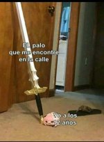 El palo que me encontre en la calle y yo con 12 años.jpg