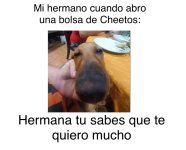 Mi hno cuando abro una bolsa de Cheetos.jpg
