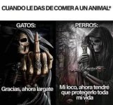 le das de comer a un animal.jpg
