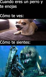 perro enojado meme.jpeg