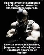 vida gamer meme.jpg