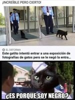 es porque soy negro v gatito.jpg