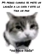 no hace nada.jpg