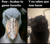 acabas tu game favorito y no sabes que hacer.jpg