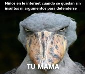 tu mama.jpg