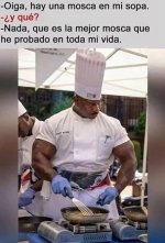 la mejor mosca completo v2.jpg