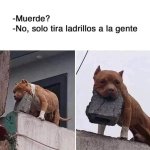 no,solo tira ladrillos a la gente.jpg