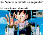 mi caballo en maicra.jpg