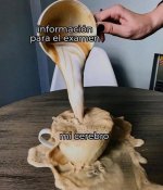 la info para el examen y mi cerebro.jpg