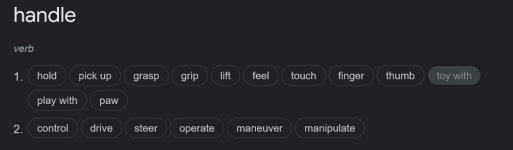 Screenshot 2022-11-22 at 19-28-18 handle synonym - Google Search.png