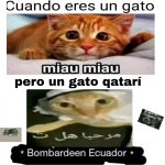 bombarden ecuador.jpg