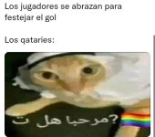 los qataries.jpg