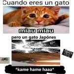 kame hame haaa.jpg