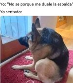 no se porque me duele la espalda.jpg