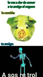 a sos re trol v amigo vegano.jpeg