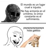 meme gatito v6.jpg