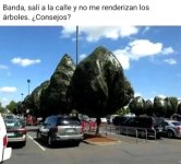 sali a la calle y no me renderizan los arboles.jpg