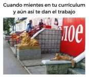 mientes en curriculum.jpg