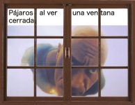 pajaros meme v3.jpg