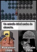 Un extraño arbol acaba de atacarte.jpg